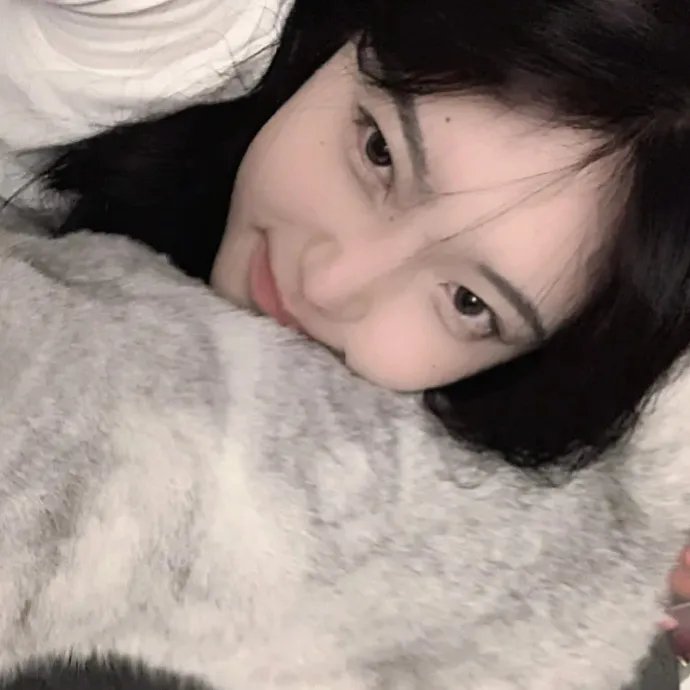 雪山飞狐之塞北宝藏